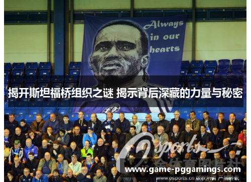 揭开斯坦福桥组织之谜 揭示背后深藏的力量与秘密 揭开斯坦福桥组织之谜 揭示背后深藏的力量与秘密