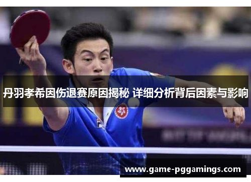 丹羽孝希因伤退赛原因揭秘 详细分析背后因素与影响