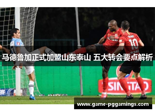 马德鲁加正式加盟山东泰山 五大转会要点解析 马德鲁加正式加盟山东泰山 五大转会要点解析