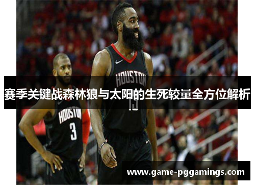 赛季关键战森林狼与太阳的生死较量全方位解析