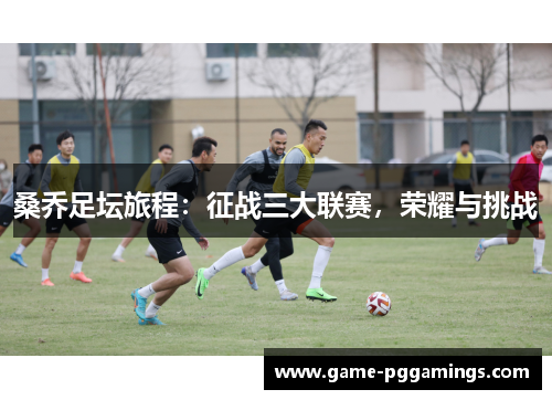 桑乔足坛旅程:征战三大联赛,荣耀与挑战 桑乔足坛旅程:征战三大联赛,荣耀与挑战